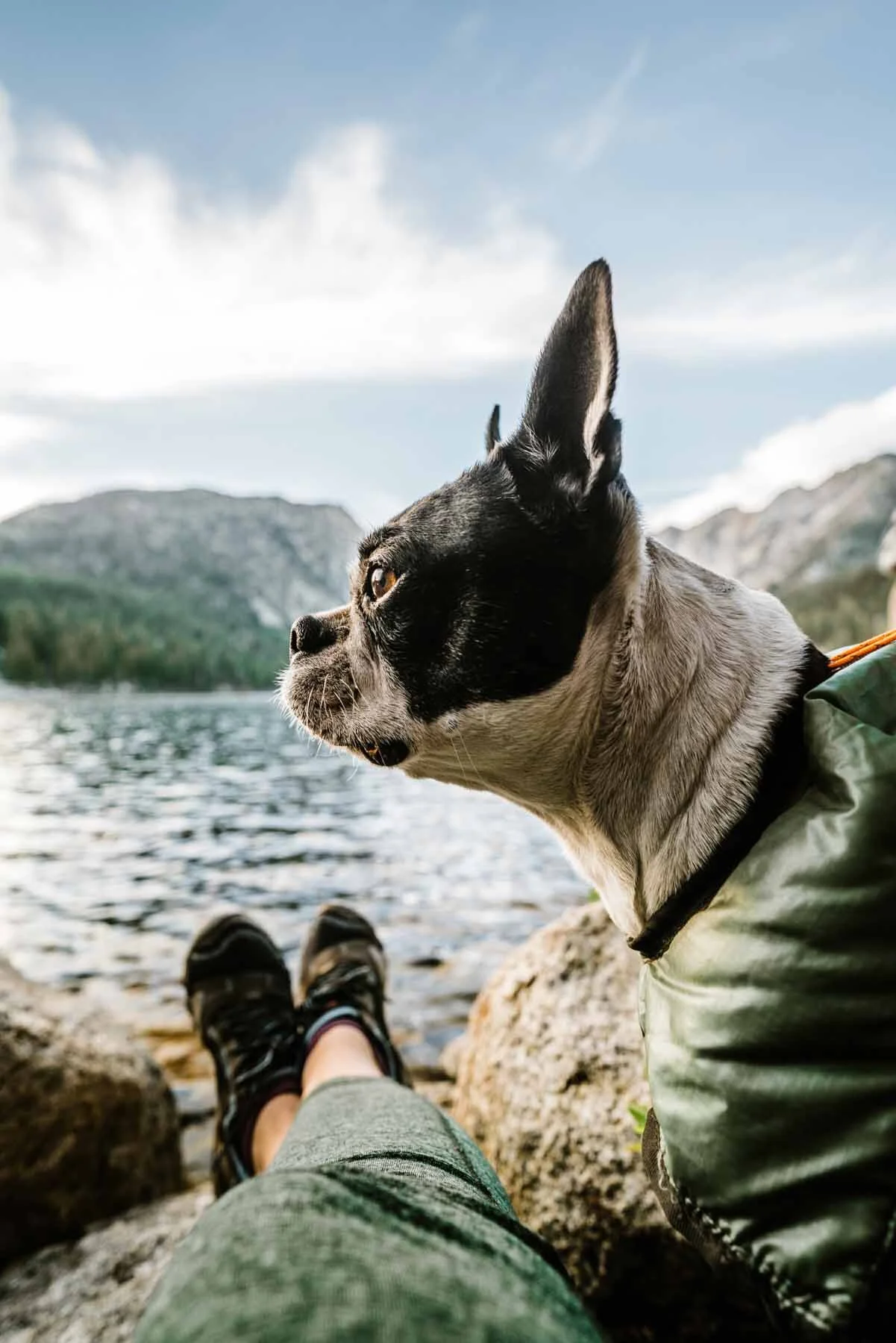 Hiking in Tennis Shoes Zero Drop Barefoot Shoes for Hiking Review Bessie Roaming